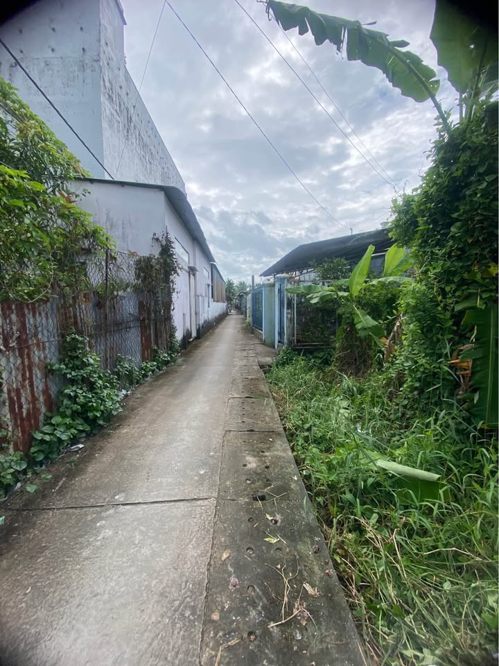 Đất nền Hương Lộ 6, Bạc Liêu 232m² giá 650 triệu - Chính chủ thương lượng!