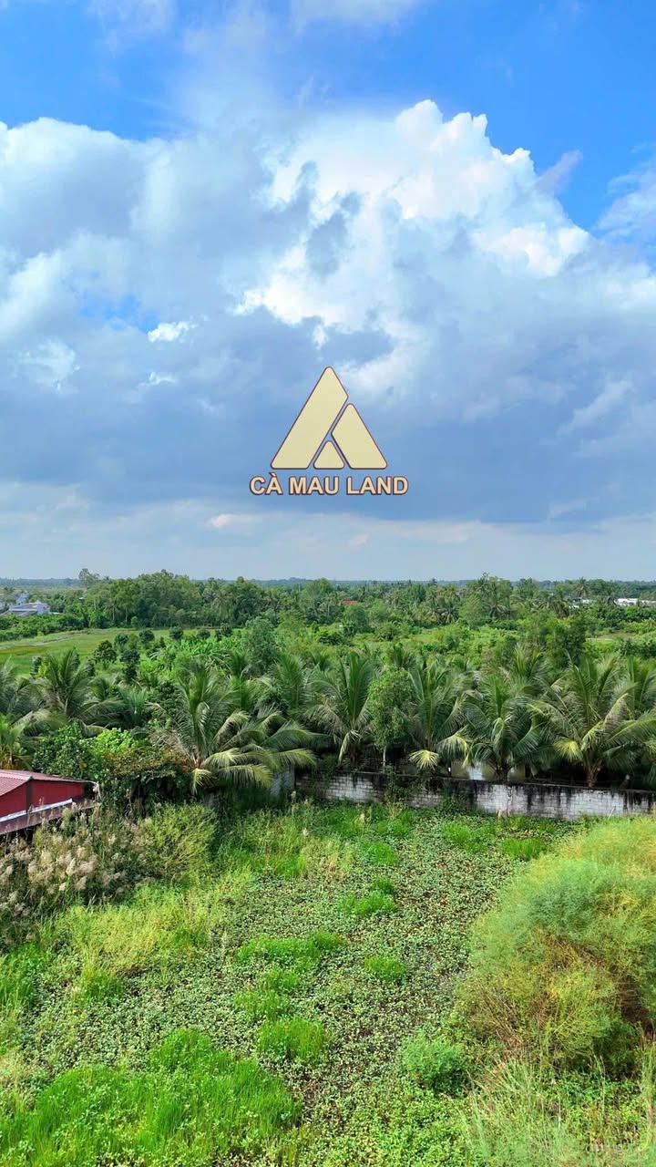 Đất thổ cư 7856m² mặt tiền Quảng Lộ Phụng Hiệp - Đầu tư sinh lời ngay!