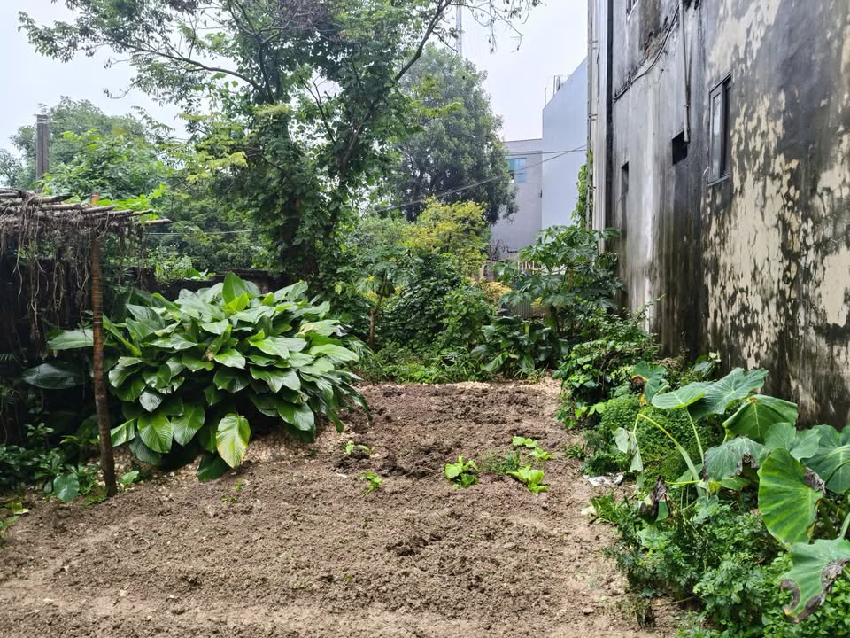 Đất thổ cư Đồng Tâm, Mỹ Đức 159m² giá chỉ 3.18 tỷ - Đầu tư sinh lời ngay!