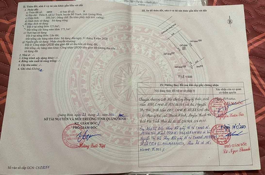 Đất thổ cư 300m² xã Lý Trạch, giá thỏa thuận - Cơ hội đầu tư tuyệt vời!