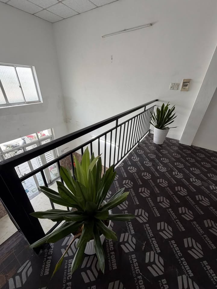 Nhà mặt tiền An Hải 16, Sơn Trà 50m² giá 5.2 tỷ - Vị trí vàng gần biển!