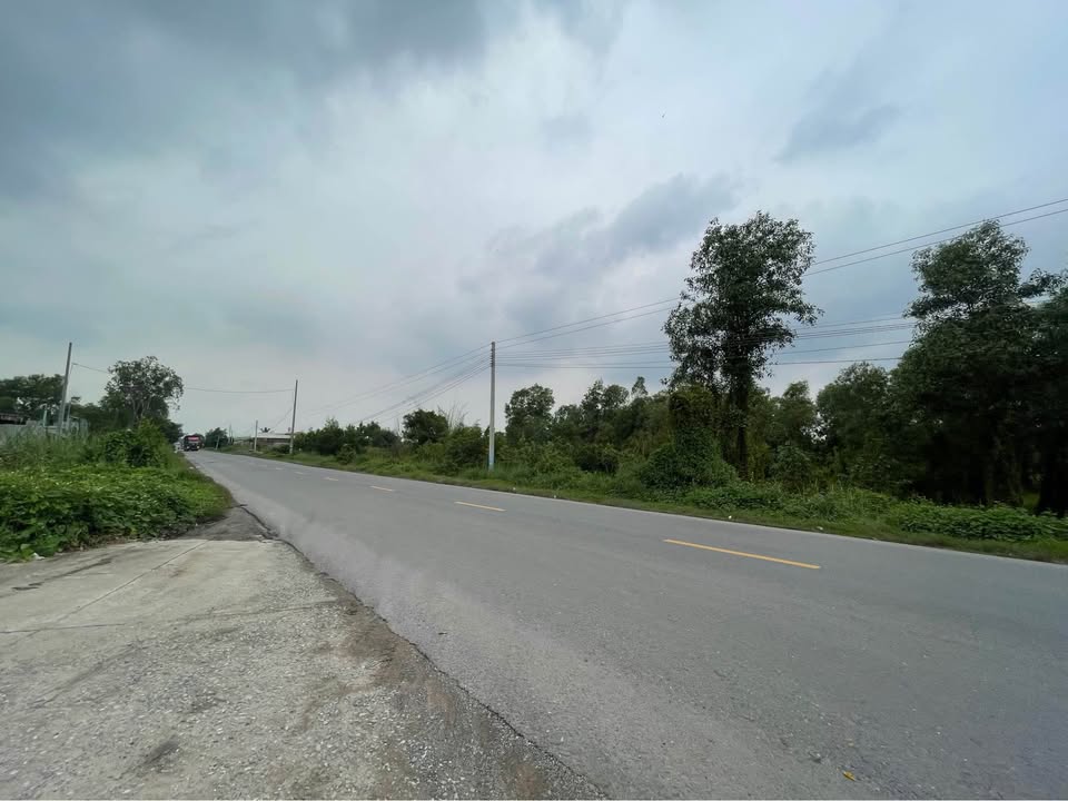 Đất nền QLN2, xã Hựu Thạnh, 145m² giá 2.2 tỷ - Đầu tư sinh lời hấp dẫn!