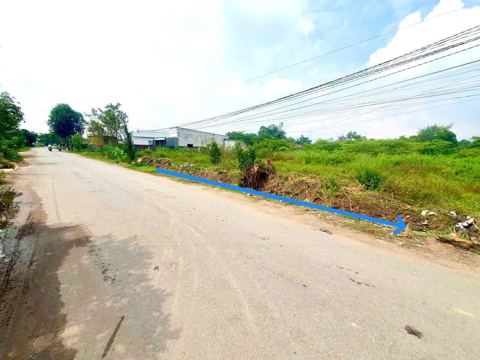 Bán đất mặt tiền đường Bào Sen, Đức Hòa, Long An - Diện tích 4100m², đầu tư sinh lời!