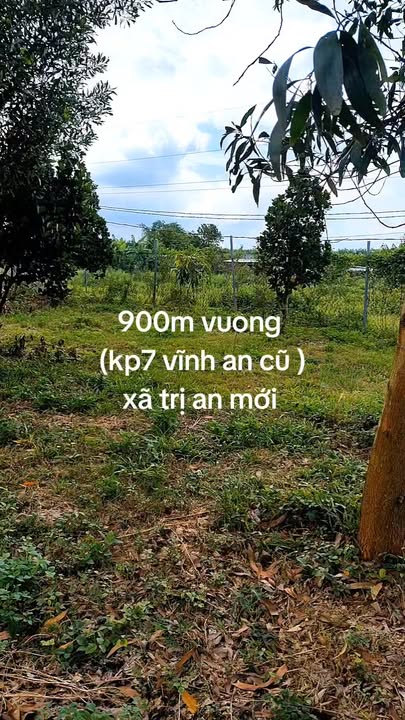 Nhà nguyên căn Vĩnh An 1.5 triệu/tháng - Điện nước đầy đủ, sẵn sàng ở ngay!