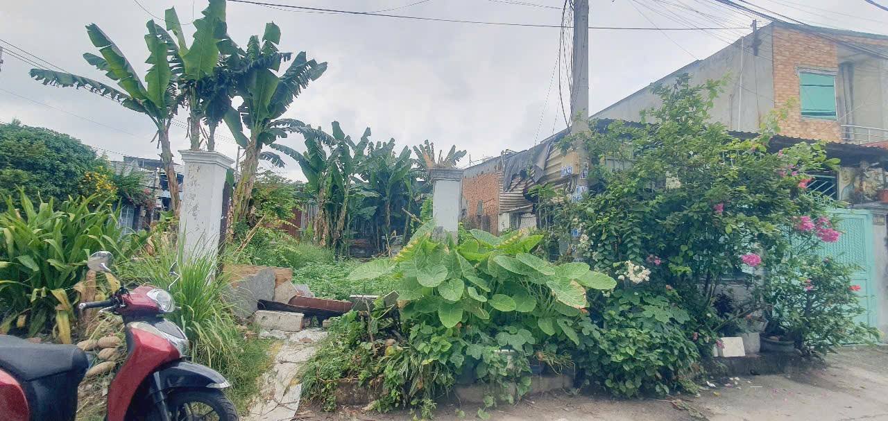 Đất nền Thới Tam Thôn Hóc Môn 98m² giá 3.8 tỷ - Đầu tư sinh lời cao!