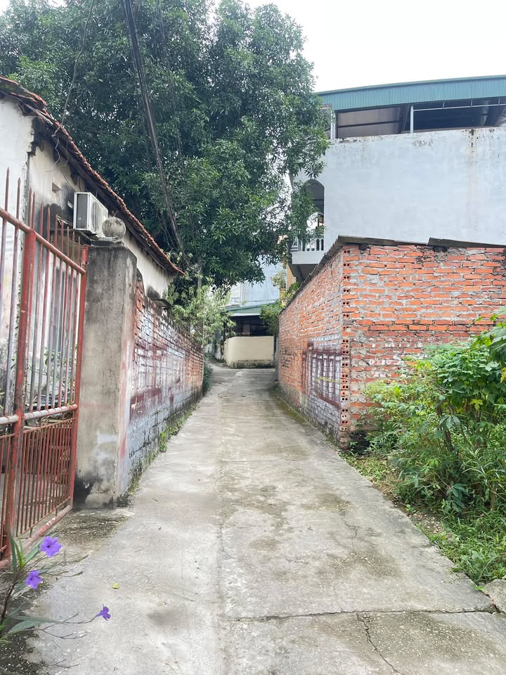 Đất nền Nông Trang, Việt Trì 62m² chỉ 1.9 tỷ - Đường thông xe máy, gần chợ và trường học!