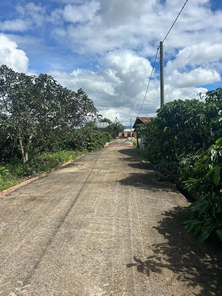 Đất nền Liên Nghĩa 105m² giá 1.2 tỷ - Cơ hội đầu tư tuyệt vời!