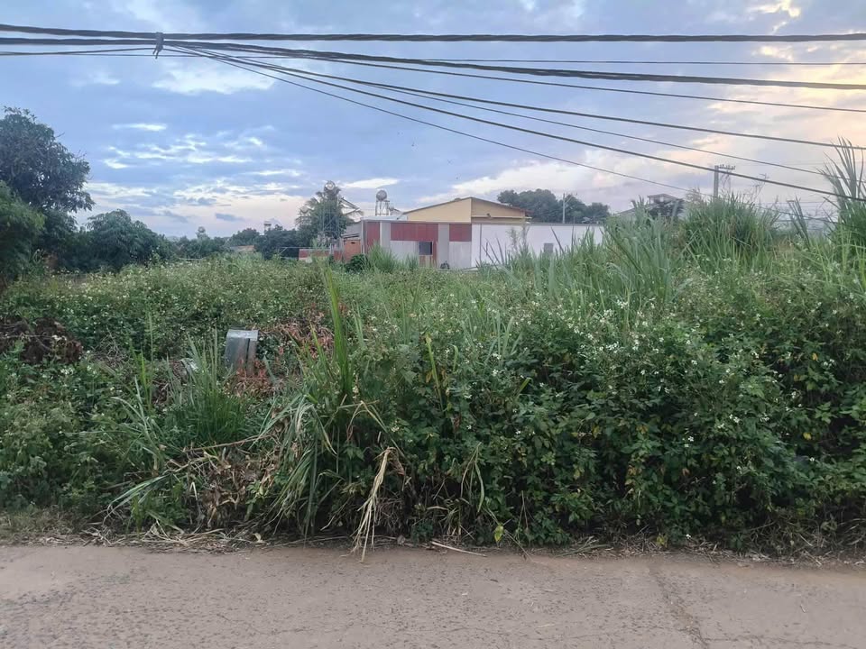 Đất nền Tân Thành Đức Trọng 175m² giá 950 triệu - Cơ hội đầu tư tuyệt vời!