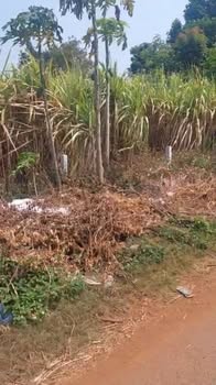 Đất thổ cư 960m² xã Ea BHốk, Cư Kuin - Mặt tiền đường nhựa rộng, giá chỉ 1.15 tỷ!