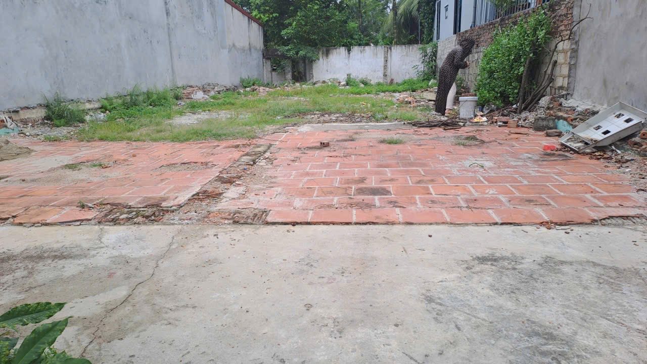 Đất liền kề Quốc lộ 45 Nông Cống 80m² - Vị trí đắc địa gần chợ và trường học!