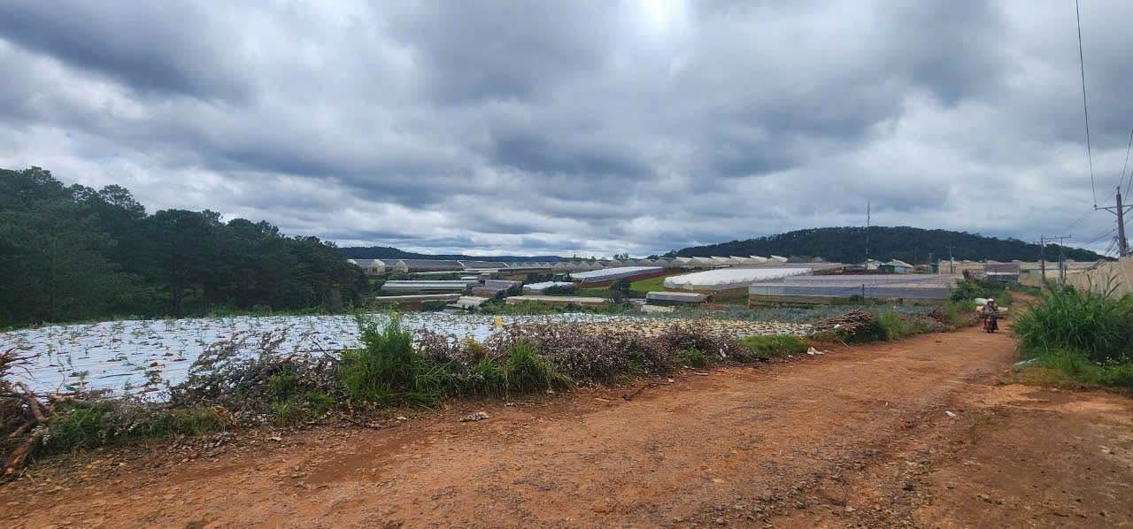 Đất nông nghiệp Đa Quý Đà Lạt 1089m² giá 5,4 tỷ - Cơ hội đầu tư tuyệt vời!