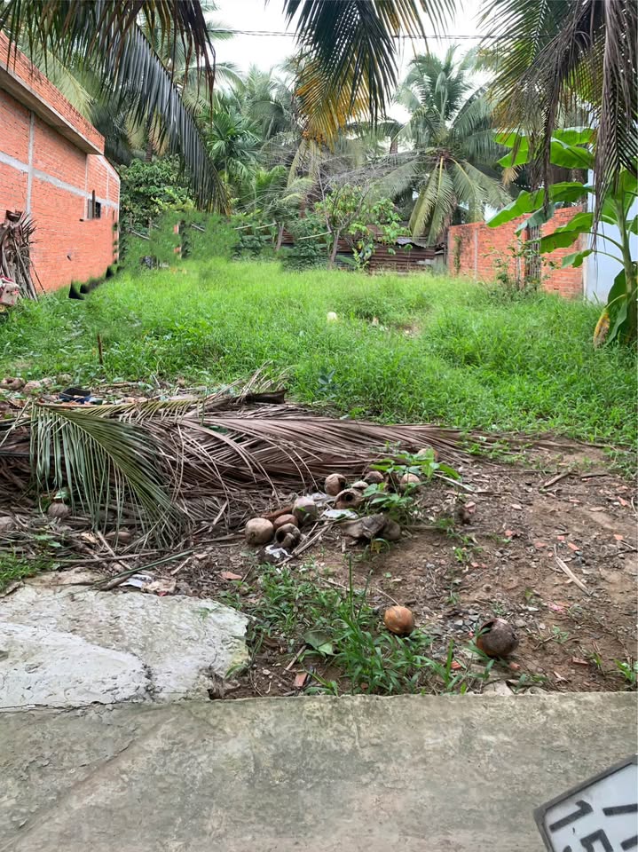 Đất nền Châu Thành Bến Tre 137m² giá 350 triệu - Đầu tư sinh lời hấp dẫn!