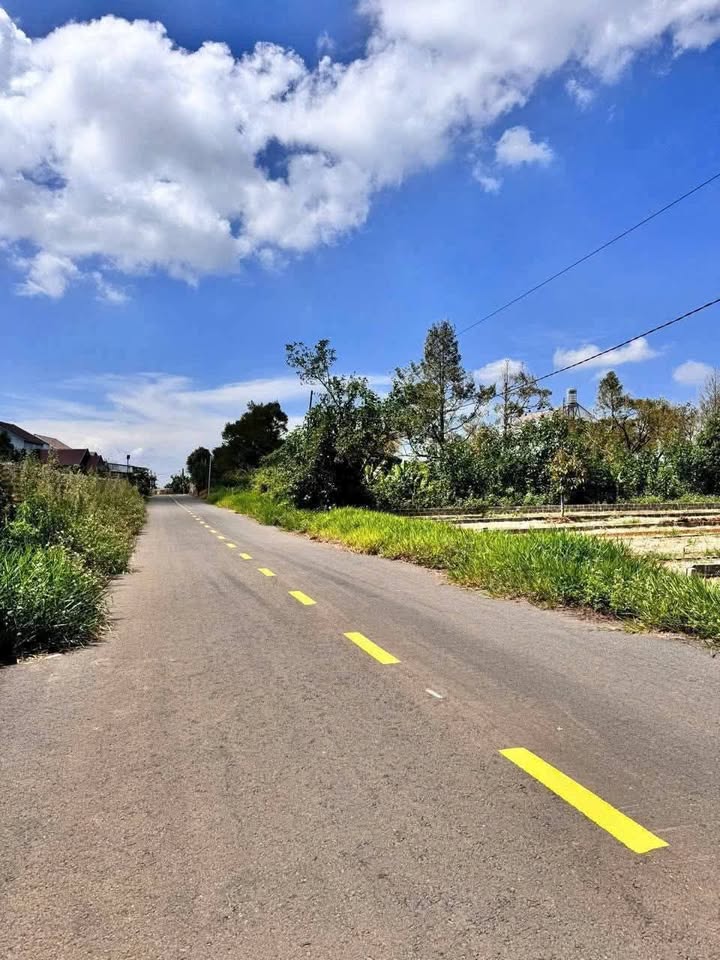 Đất nền mặt tiền Nguyễn Trãi, Bảo Lộc 162m² giá 2.05 tỷ - Cơ hội đầu tư tuyệt vời!