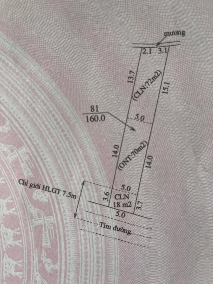 Lô đất Tân Quang - Lục Ngạn 160m² giá vài trăm triệu - Đầu tư sinh lời hấp dẫn!