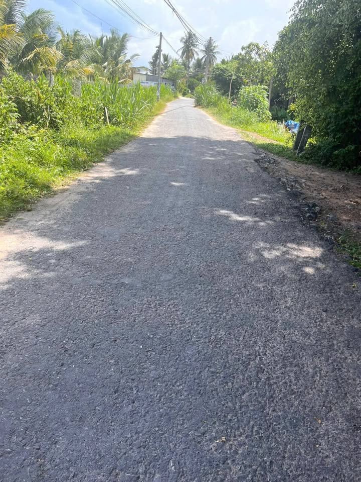 Bán mặt tiền đường Dương Văn Nốt, Gò Dầu, Tây Ninh, 216m² - Thương lượng ngay với chính chủ!