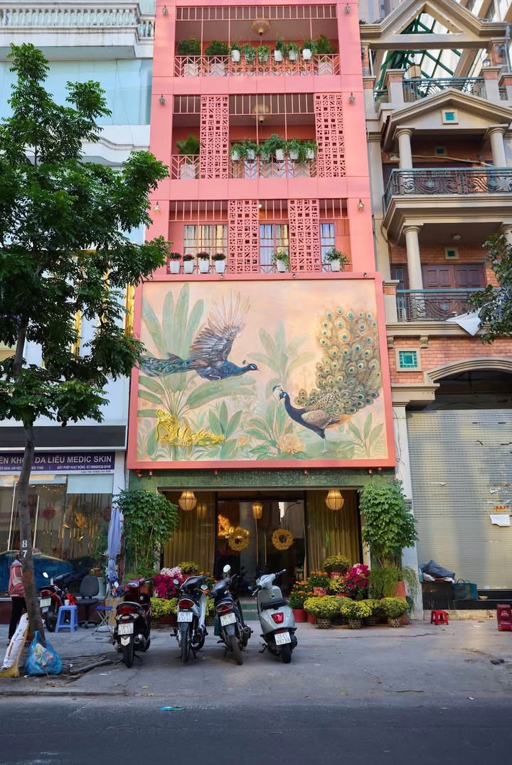 Cho thuê nhà nguyên căn mặt tiền đường Nguyễn Đình Chiểu, Quận 1 - Tiện lợi kinh doanh ngay!