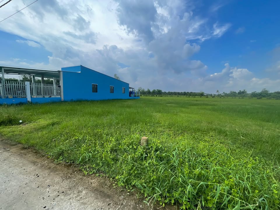 Đất ở ấp Thạnh Phong, Yên Luông 168m² giá 350 triệu - Gần Quốc lộ 50!