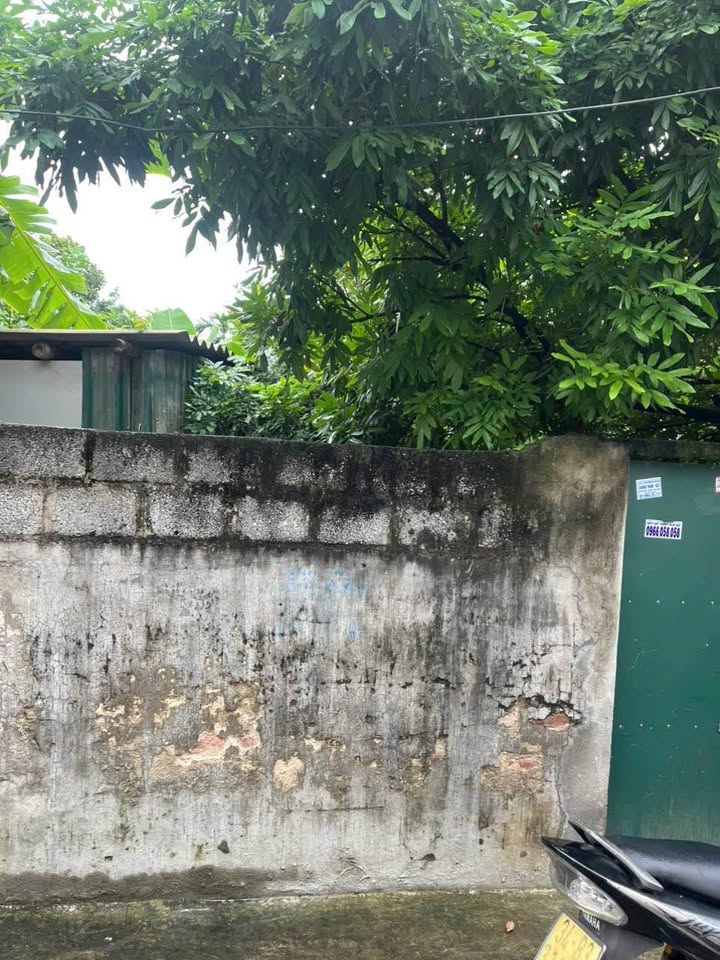 Đất nền Việt Hòa Hải Dương 90m² - Đường thông ô tô ra vào thoải mái!