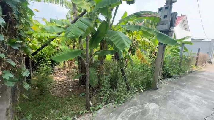 Đất nền Thái Dương, Bình Giang 91m² chỉ từ 700 triệu - Đầu tư sinh lời ngay!