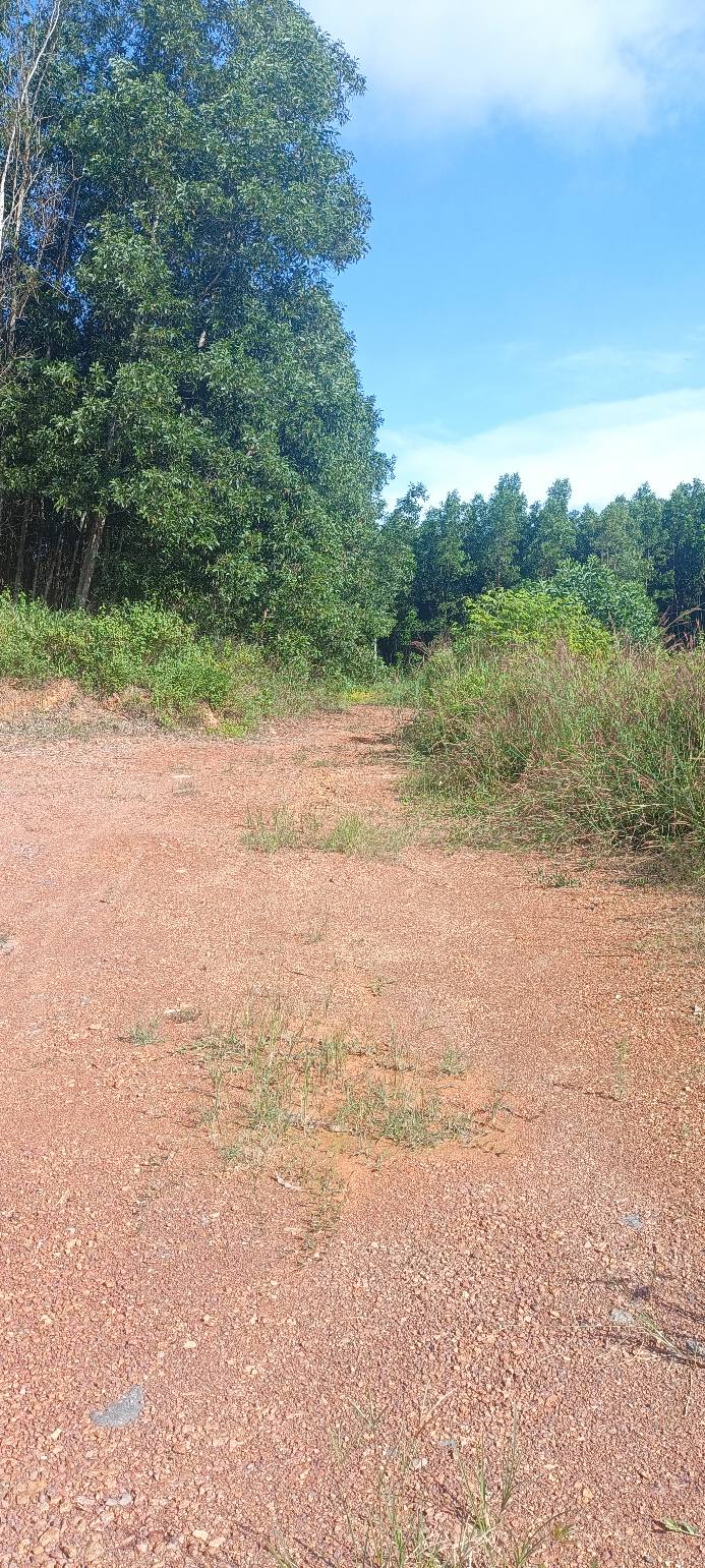 Đất Vĩnh An, Vĩnh Cửu 19.000m² giá 855 triệu - Sổ đỏ chính chủ, đầu tư lý tưởng!