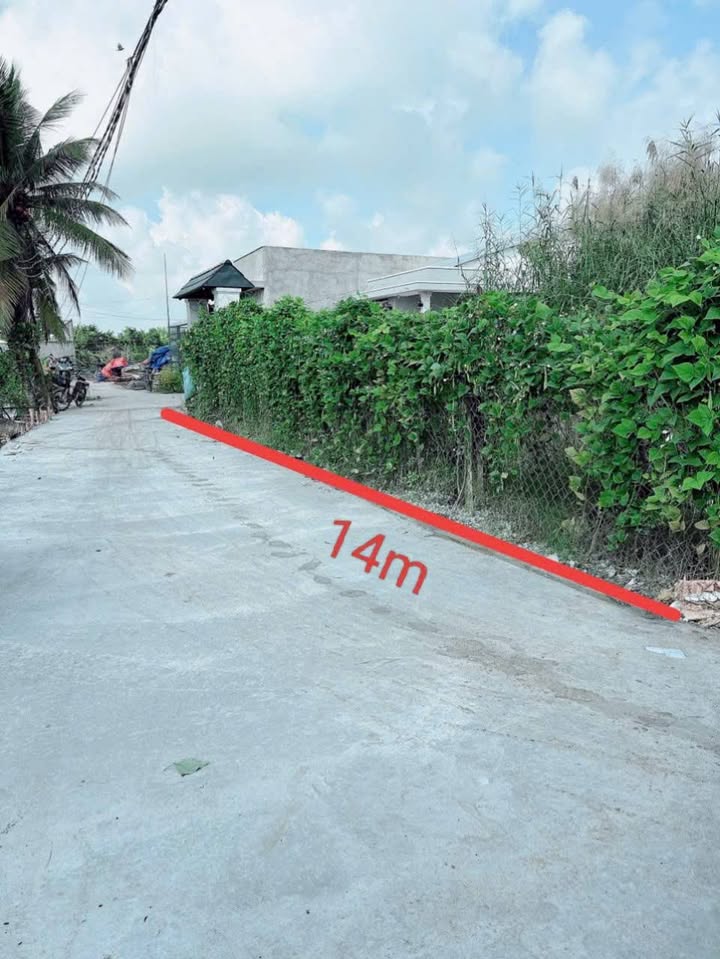 Đất vườn 574m² tại Hòa Phú, Châu Thành Long An - Giá chỉ 850 triệu, đầu tư sinh lời!