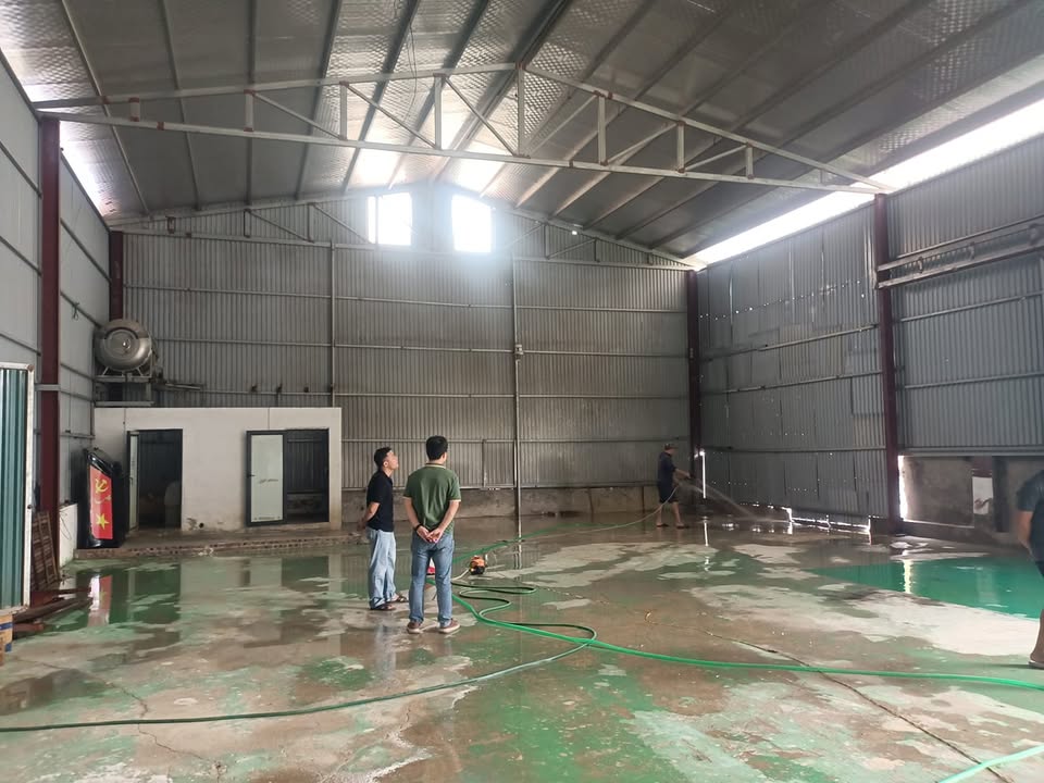 Cho thuê kho, nhà xưởng 620m² tại Vạn Phúc, Chương Mỹ - Giá chỉ 31 triệu/tháng!