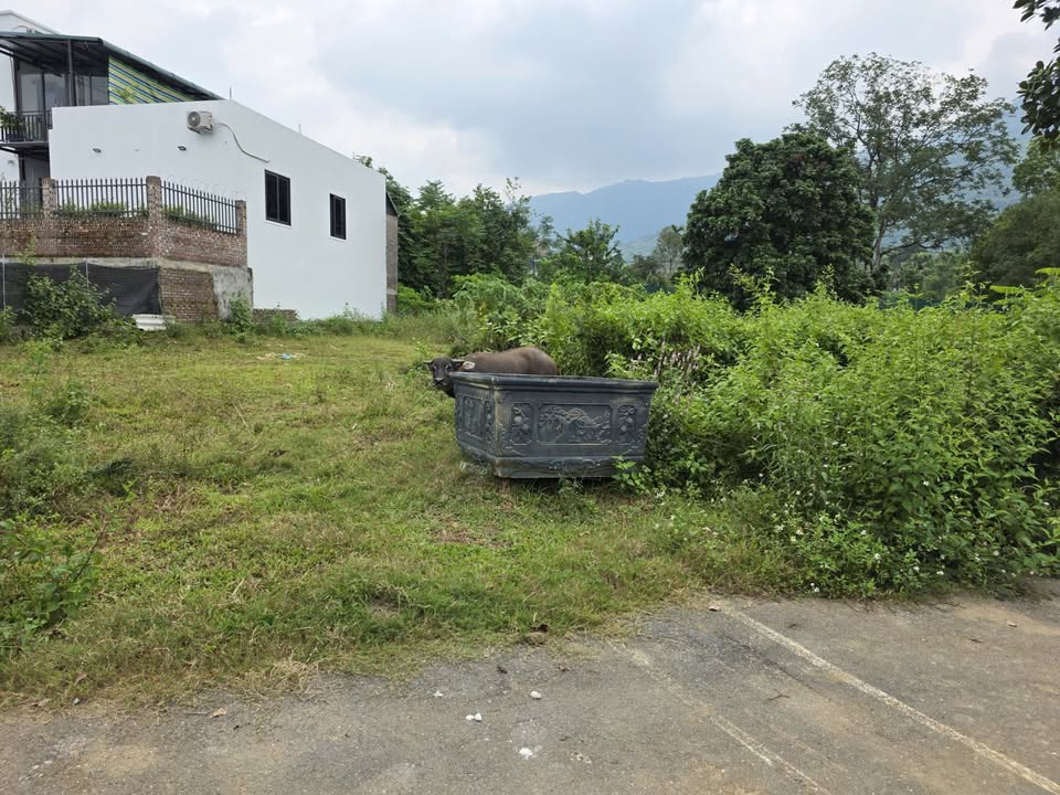 Đất bán xã Yên Xuân, Thạch Thất 480m² - Vị trí đắc địa, giá thỏa thuận!