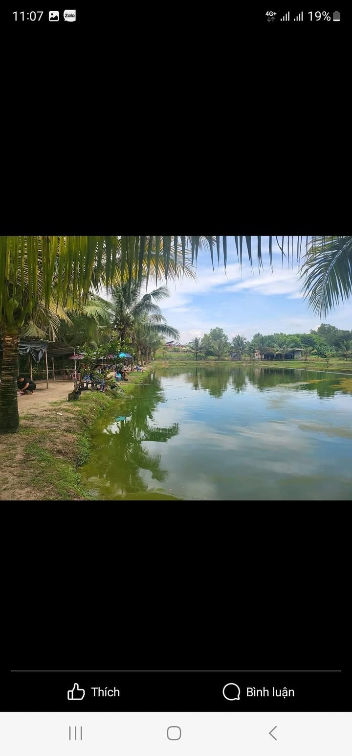 Đất Farm 15000m² tại Tân Định, Bến Cát - Đầu tư sinh lời với tiềm năng lớn!