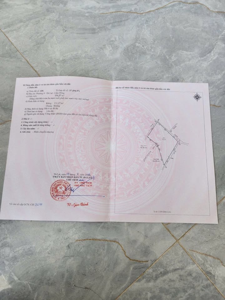 Nhà hẻm Ngô Thì Nhậm Đà Lạt 131m² giá 6.563 tỷ - Cơ hội hiếm có sở hữu nhà trung tâm!