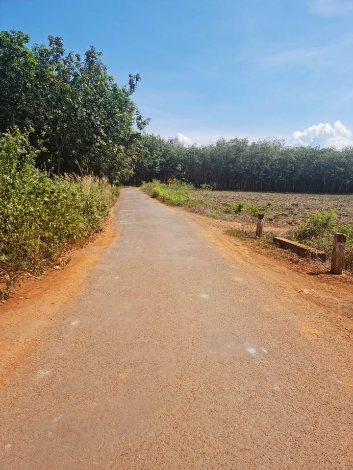 Đất nền 2000m² Tân Thành, Đồng Xoài chỉ 1.25 tỷ - Đầu tư lý tưởng cho nhà vườn