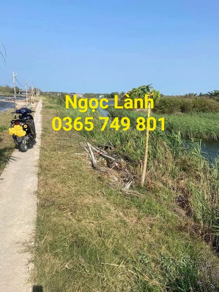 Đất nền xã Đại Hòa Lộc, Bình Đại 16.000m² chỉ 1.92 tỷ - Pháp lý sổ hồng chính chủ!