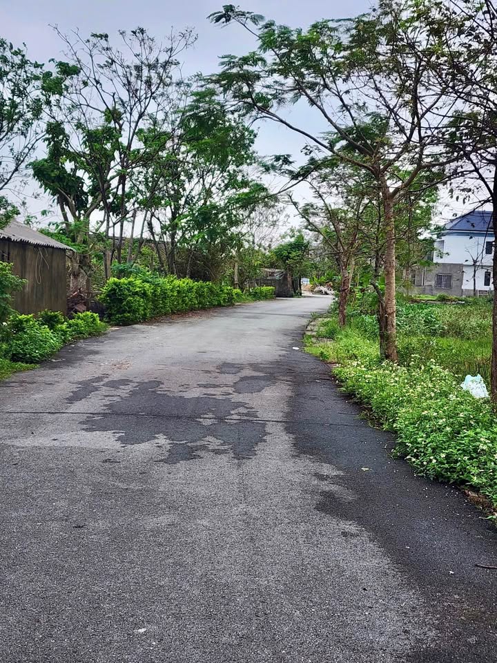 Bán đất P. Trần Phú, Hà Tĩnh 138m² giá 1.8 tỷ - Vị trí đắc địa gần trung tâm!