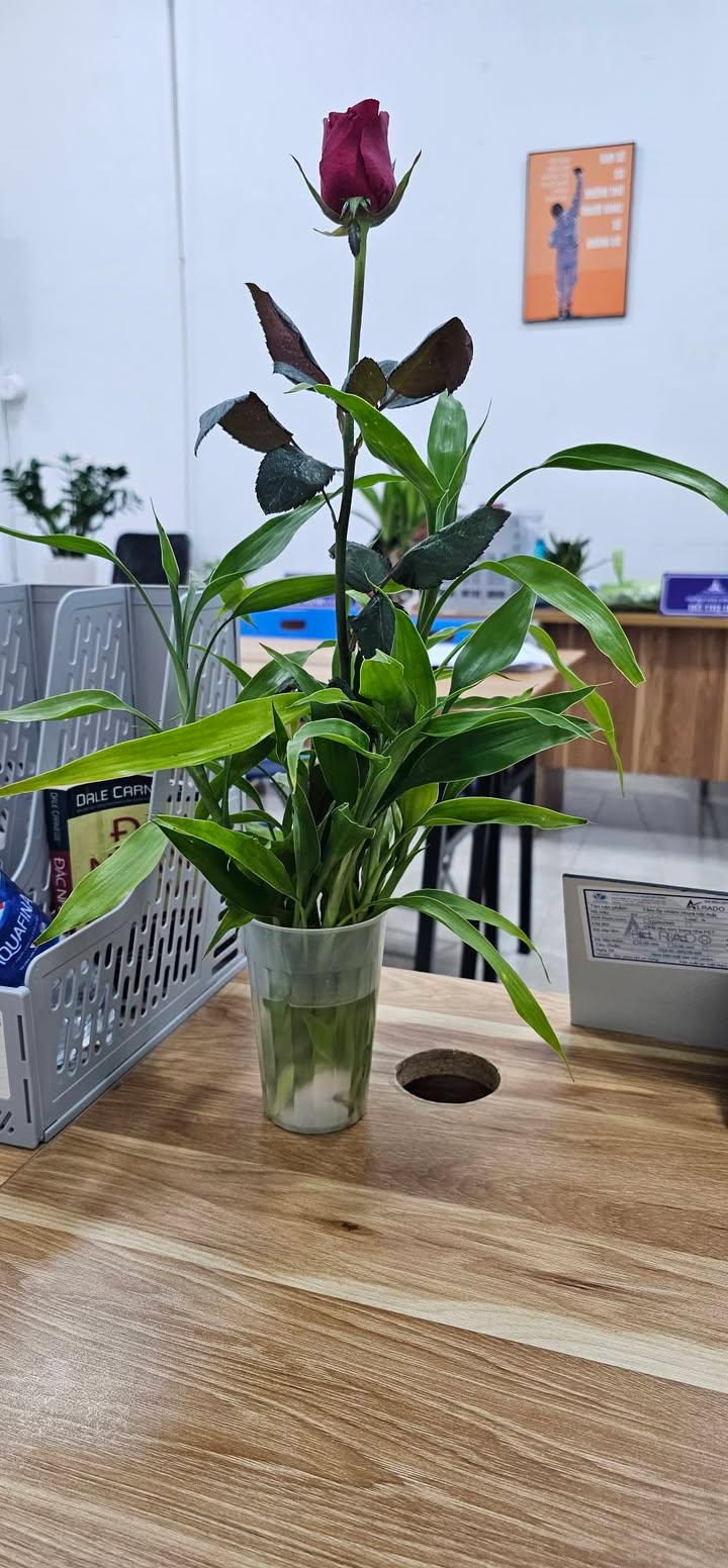 Nhà mái bằng Đông Minh Đông Sơn 395m² giá 2.9 tỷ - Giao thông thuận lợi!