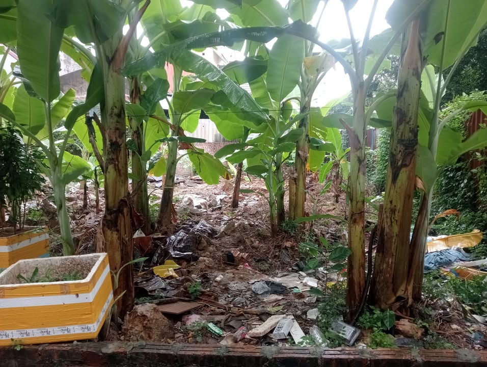 Nhà bán tại Phúc Thịnh, Đông Anh 66m² giá 4 tỷ - Ô tô vào tận nơi!