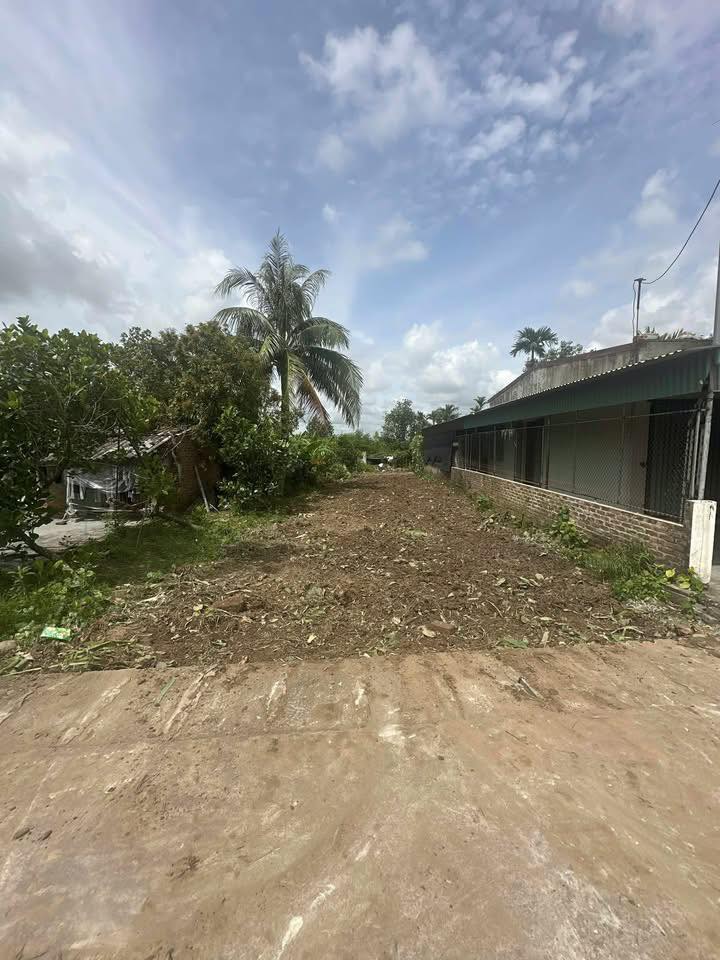 Đất nền xã Quyết Tiến 142m² giá 1.1 tỷ - Đầu tư sinh lời ngay!