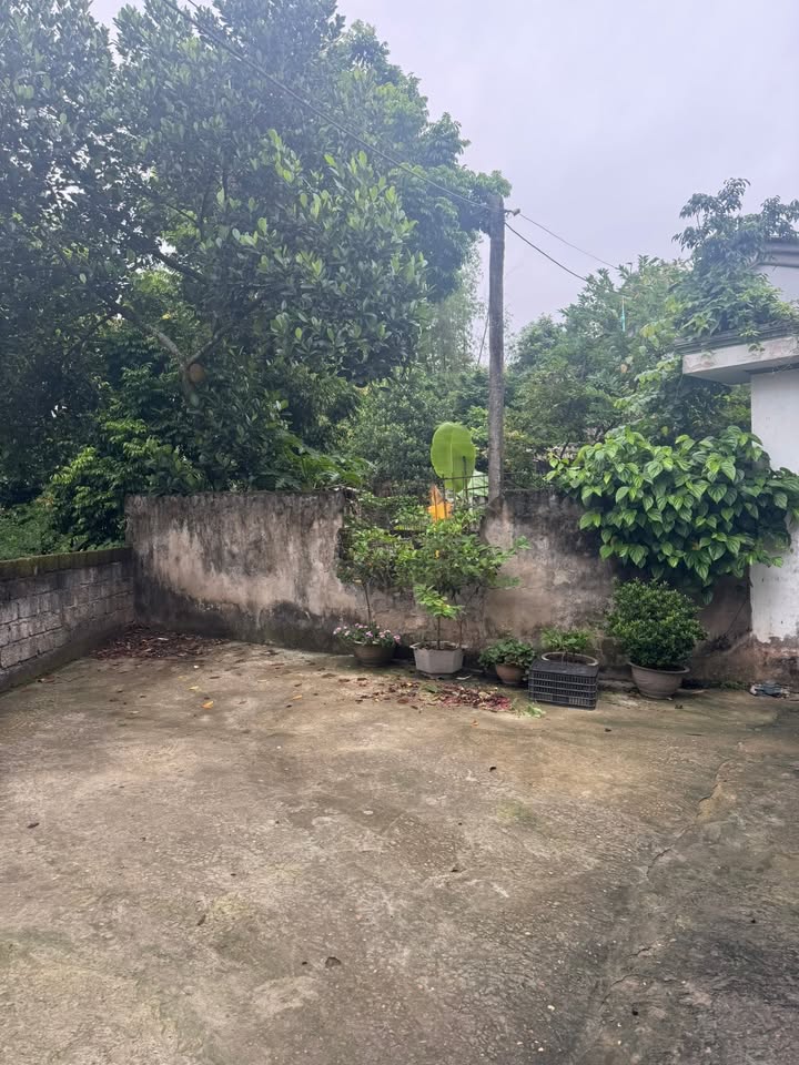 Đất nền tiềm năng Làng Long Ân - Phú Thọ 161m² giá chỉ 700 triệu!