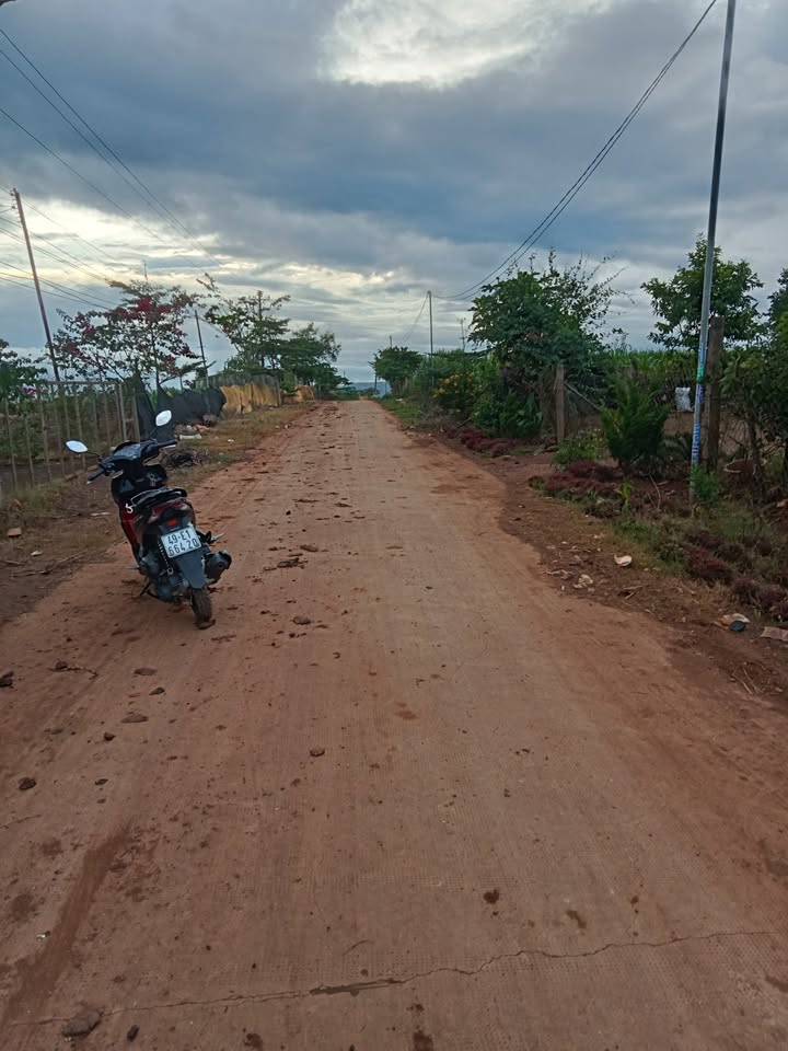 Đất nền thổ cư Tân Hội 1044m² giá 1.3 tỷ - Chính chủ cần bán gấp!