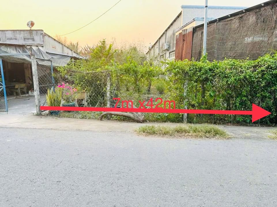 Đất nền Phước Thạnh, Củ Chi 280m² giá 2.5 tỷ - Đầu tư sinh lời ngay!