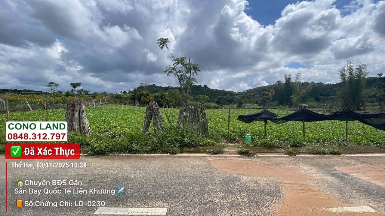 Đất nền mặt tiền 15m Xã Hiệp Thạnh, Đức Trọng, Lâm Đồng 1077m² giá 4 tỷ - Đầu tư sinh lời cực tốt!