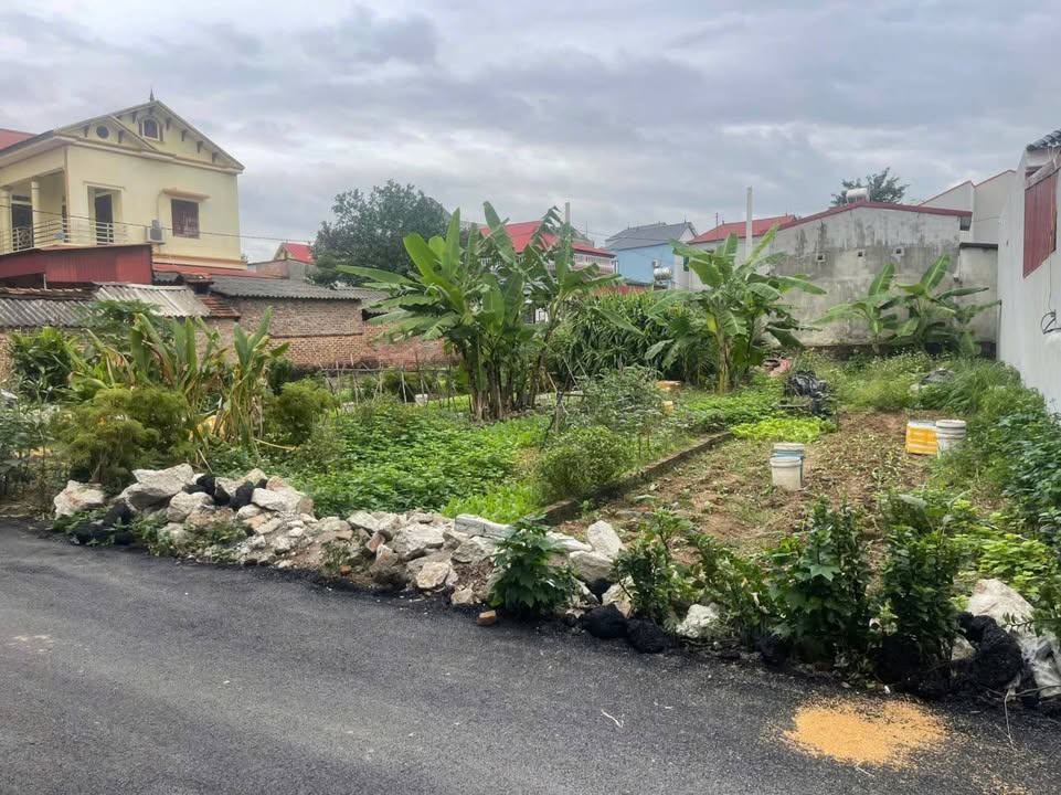 Đất nền Kim Anh Sóc Sơn 98m² giá 2.3 tỷ - Cơ hội vàng cho nhà đầu tư!