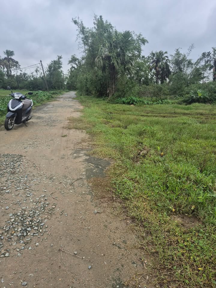 Đất nền Cẩm Hòa Kỳ Anh 180m² giá 390 triệu - Đầu tư sinh lời ngay!