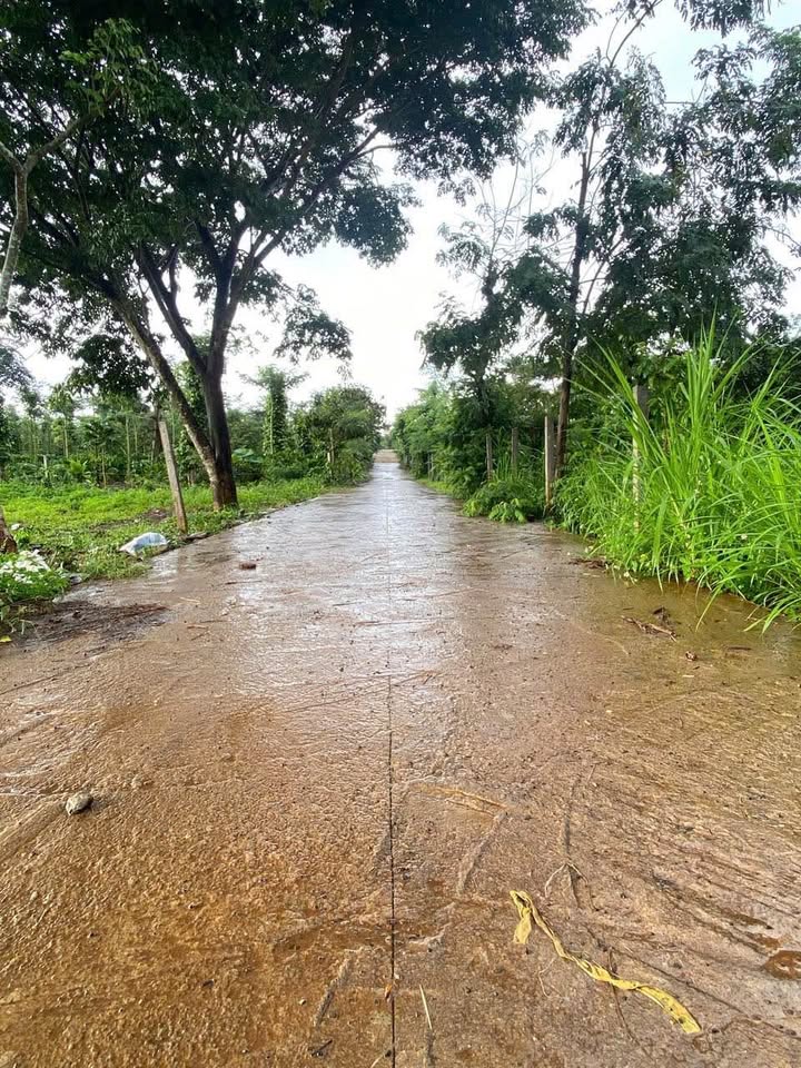 Đất sào khu Y Moan, Buôn Ma Thuột 1600m² giá 2.05 tỷ - Thích hợp đầu tư hoặc làm nhà vườn!