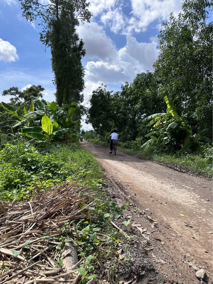 Đất nền mặt tiền đường Hậu Tỉnh Đội, Cao Lãnh 220m² giá 1.75 tỷ - Pháp lý rõ ràng, đầu tư sinh lời!