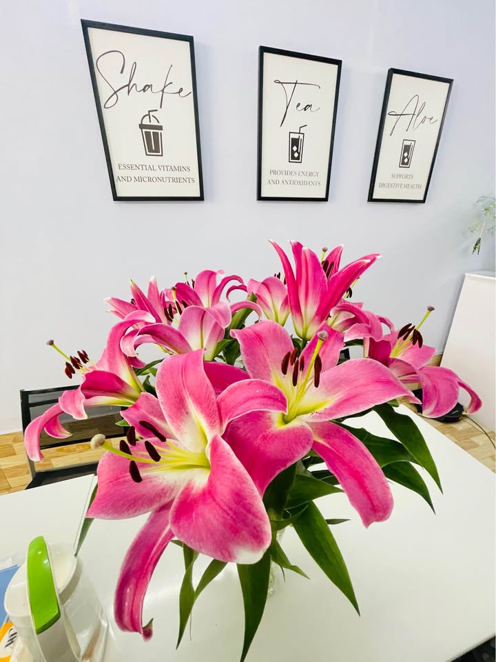 Đất nền giá rẻ đường Huỳnh Thúc Kháng, Hòa An, 54m² - Cơ hội đầu tư tuyệt vời!