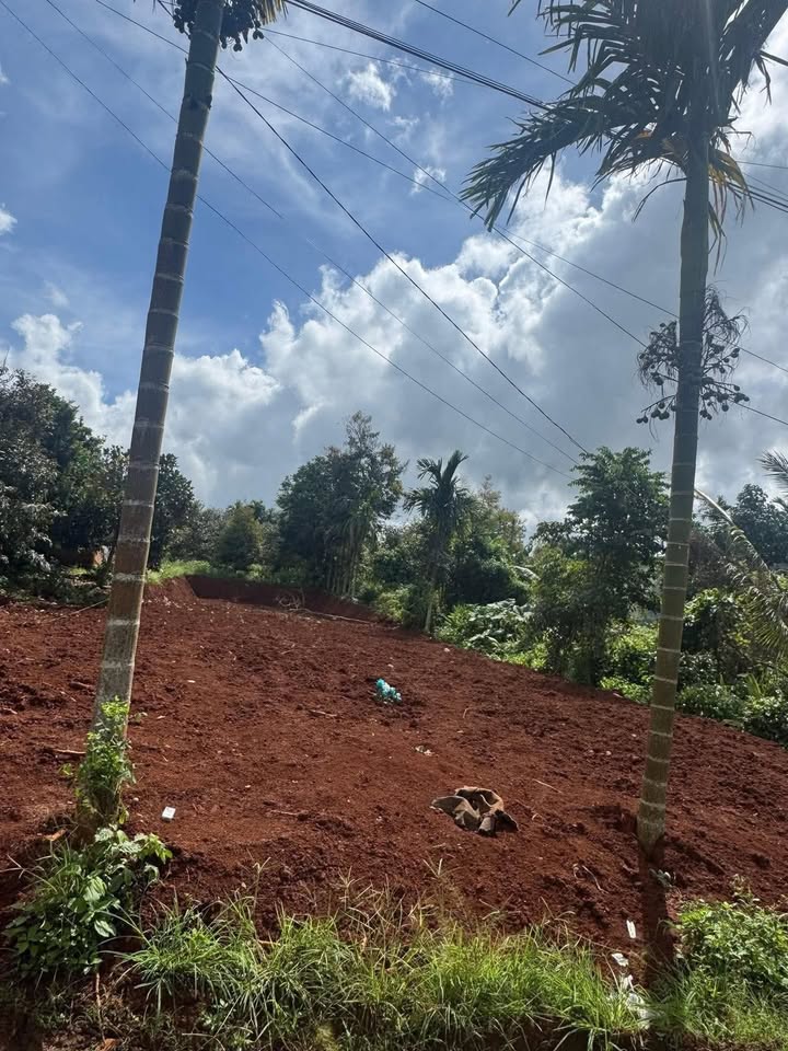 Đất nền Buôn Hồ 400m² giá 2.55 tỷ - Mặt tiền đường Lạc Long Quân