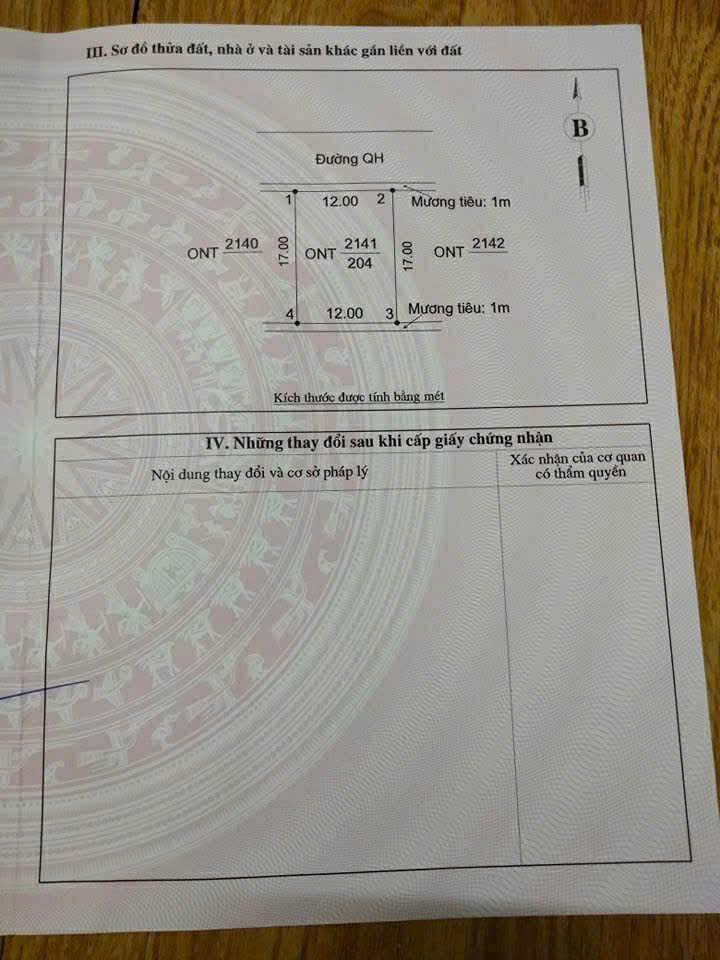 Đất nền Kim Liên, Nam Đàn 204m² - Vị trí đẹp, thỏa thuận giá!