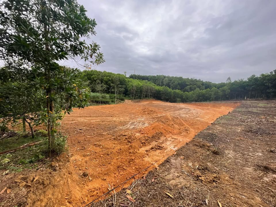 Đất nền khu 5, xã Đồng Xuân 175m² giá chỉ 400 triệu - Cơ hội đầu tư không thể bỏ lỡ!