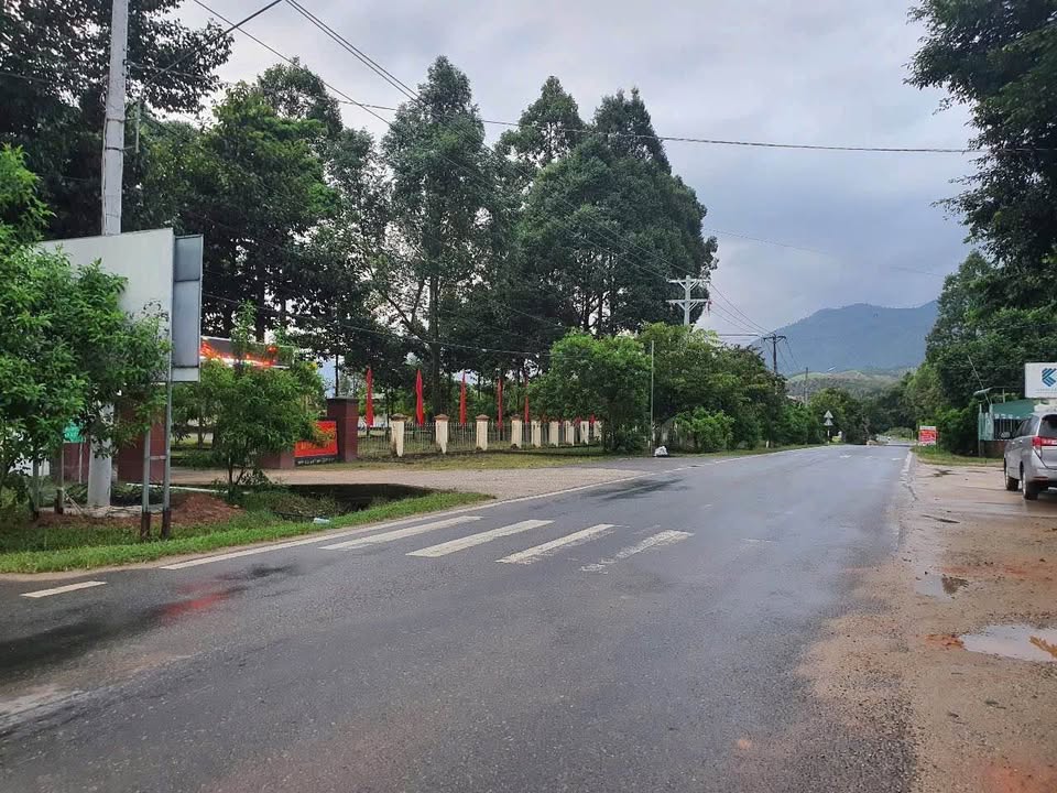 Farm mặt tiền DT713 xã Đoàn Kết 1,3ha giá 8.9 tỷ - Cơ hội đầu tư sinh lời!