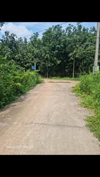 Đất nền An Bình - Phú Giáo 706m² giá 1.25 tỷ - Đường bê tông, tiện ích đầy đủ!