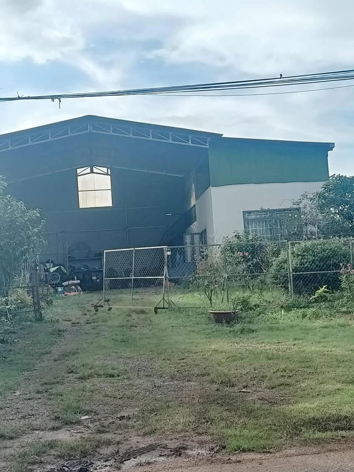 Đất nền Dliê Yang, Ea H'leo 1386m² giá 260 triệu - Cơ hội đầu tư hấp dẫn!